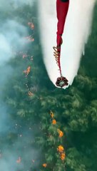 İki köyün boşaltılmasına sebep olan Çanakkale'deki orman yangını kontrol altında!