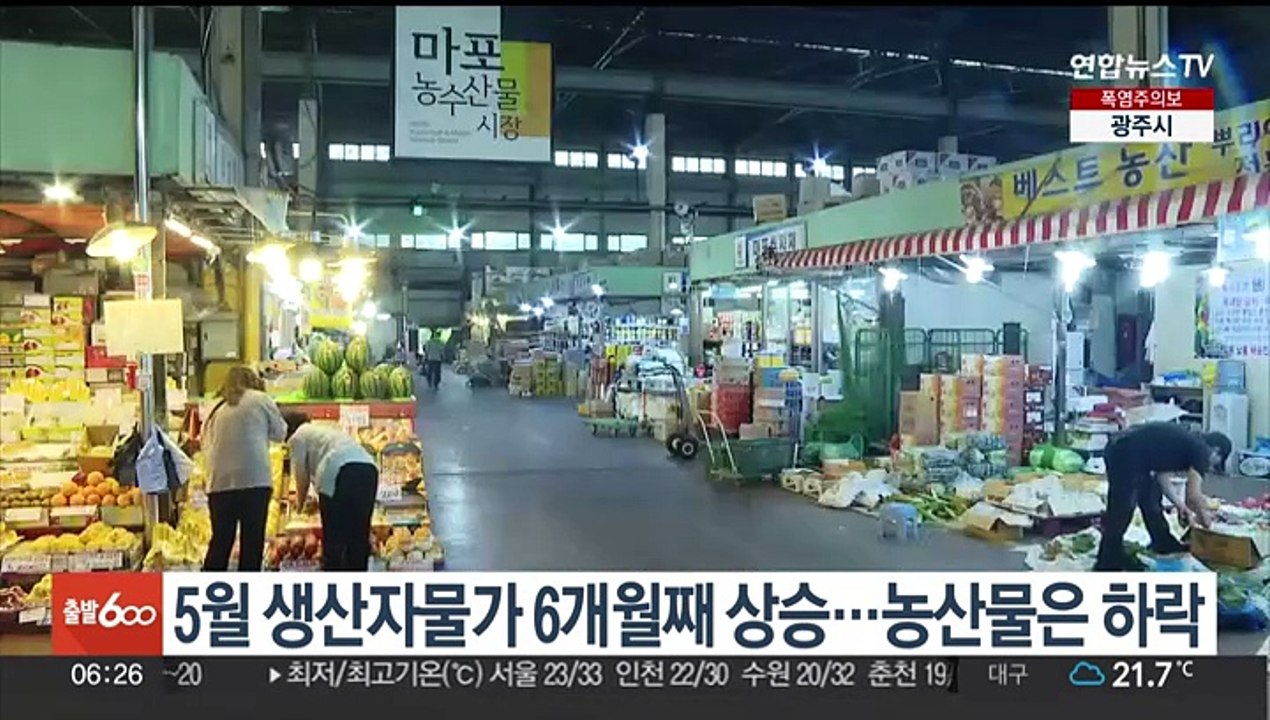 5월 생산자물가 6개월째 상승…농산물은 하락