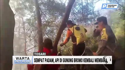 Sempat Padam, Api di Kawasan Gunung Bromo Kembali Membara