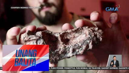 Fossils ng reptile na "Parvosuchus aurelioi" na nabuhay bago ang dinosaur era, nadiskubre sa Brazil | Unang Balita