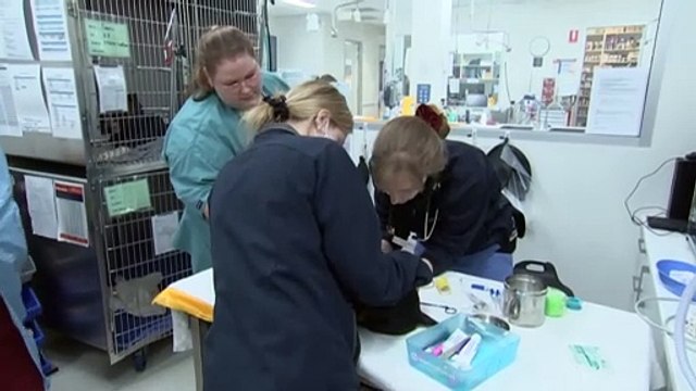 Workplace Gender Equality Agency scorecard shows women in the public services are paid 13.5pc less than men, but the gap is even bigger in the private sector