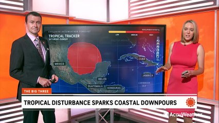 Tropical disturbance sparks coastal downpours near Florida