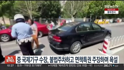 불법주차 후 '면책특권' 주장하며 욕설한 中국제기구 수장