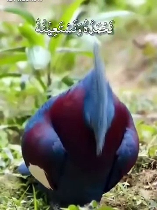 خطبہ جمعہ