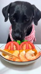 ASMR Part #01 #shortsfeed #shorts #trending #asmr #mukbang