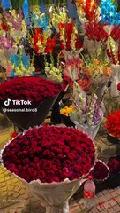 boy proposal to girl beautifull flowers and vibes