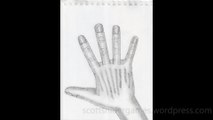 Hand Pencil Sketch Video #76 (06-21-2024)