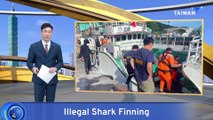 Taiwan-Flagged Ship Seized With 6.5 Tons of Illegal Shark Fins