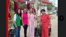 Entrega Ayuntamiento de Nadadores 500 árboles a escuelas y al municipio