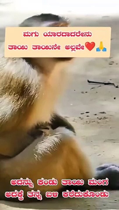 1000007157