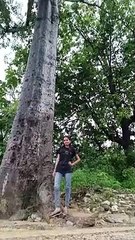 river side walk & Fun Diaries 9653792244 #viral #trend