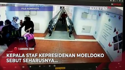 KPK Belum Tangkap Harun Masiku, Istana: Mestinya Dapat Ditangkap dalam Waktu Dekat