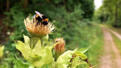 The Laws of Karma That Will Change Your Life