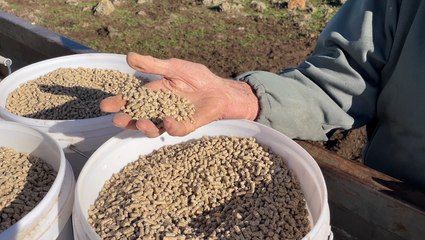 Western Victoria drought | Stock & Land