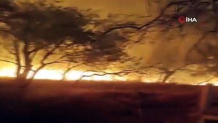 Kuzey Ege yanıyor: Bir köy boşaltıldı