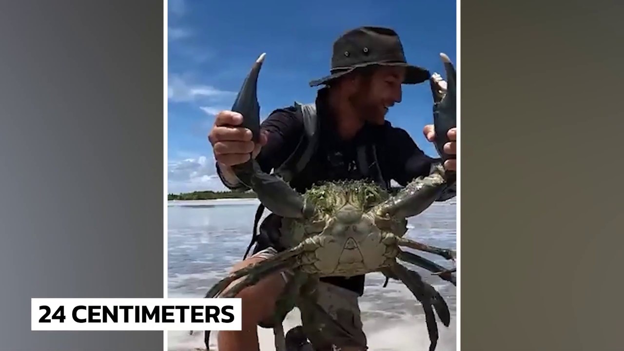 What a Fisherman Caught on His Camera Shocked the Whole World