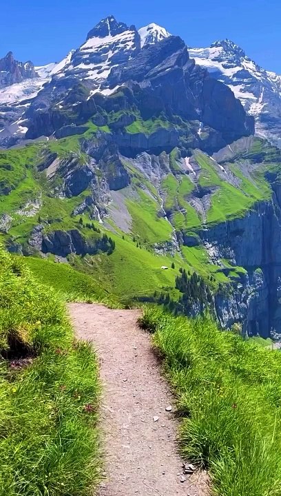 Nature view