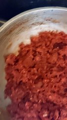 Dried shirmp alamang