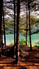 #camp #cookinginnature #firecooking #campers #bythelake #nature Ig@Iamcampers