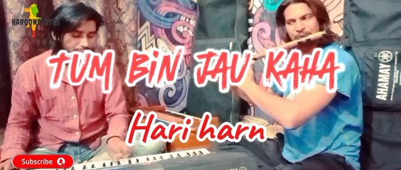 Tum Bin Jaun Kahan | تم بن جاوں کہاں | Hariharan Best Songs Hindi Dil Vil Pyar Vyar | Flute Cover