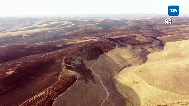Mardin Mazıdağı ile Diyarbakır Çınar'daki yangında soğutma çalışmaları sona erdi
