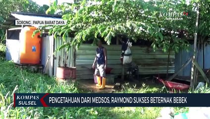 Pengetahuan Dari Medsos, Raymond Sukses Beternak Bebek