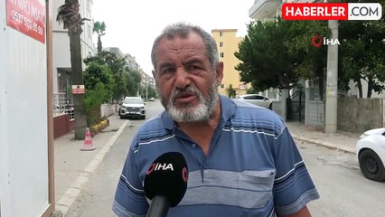 Kan donduran görüntü: 8 köpeğin kediyi telef ettiği anlar kamerada