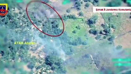 "Bozdoğan-44" operasyonunda 4 terörist etkisiz hale getirildi