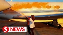 Just Stop Oil activists spray 'Taylor Swift's private jets' with orange paint
