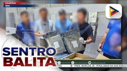 Higit P1.5-M halaga ng high-grade marijuana o Kush, nakumpiska ng BOC sa Port of Clark