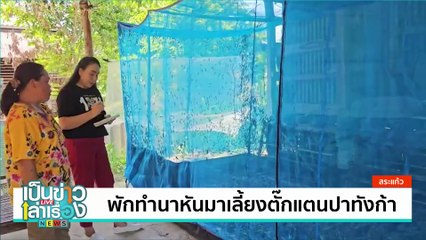 ข้าวมันไก่ 20 บาท เอาใจนักเรียน | เป็นข่าวเล่าเรื่อง | 21 มิ.ย. 67 | PART 2