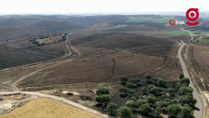Diyarbakır'da anız yangını: Yangınının boyutu gün ağarınca ortaya çıktı