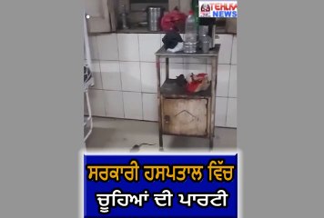 ਦੇਖੋ ਸਰਕਾਰੀ ਹਸਪਤਾਲ ਵਿੱਚ ਚੂਹਿਆਂ ਦੀ ਪਾਰਟੀ।