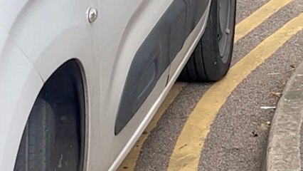 Driver fuming at traffic warden dishing out ticket - while parked on double yellows