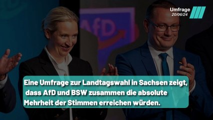 Скачать видео: Ampel Parteien in Gefahr: SPD und Grüne nur bei 5% in Sachsen