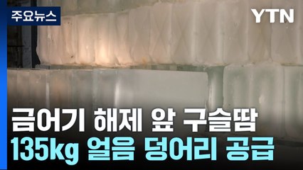 여름을 잊은 사람들...부산 공동어시장 얼음 공장 / YTN