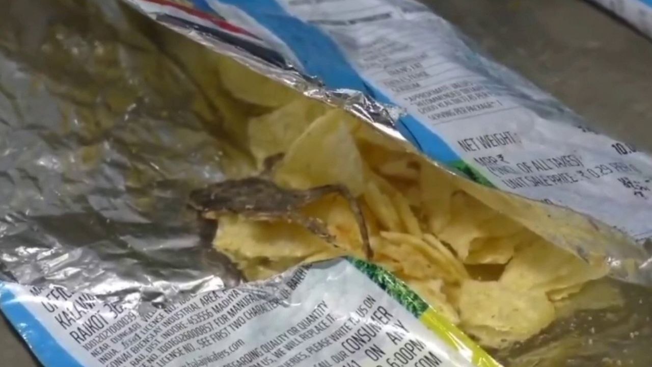 Familie entdeckt toten frosch in einer chips-packung