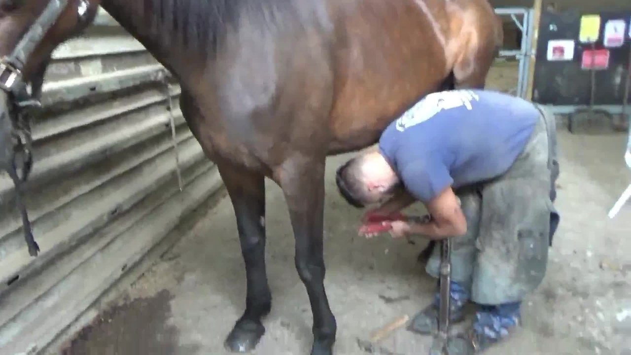 Fermes ouvertes comines