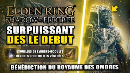 ELDEN RING DLC Shadows of Erdtree - 16 Esquilles & Cendres Spirituelle au DEBUT DU DLC (Bénédiction)