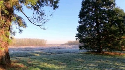 MUSIQUE DOUCE ET CALME DE NDWHAT TITRE IT'S EASIER TO BE ALONE  1