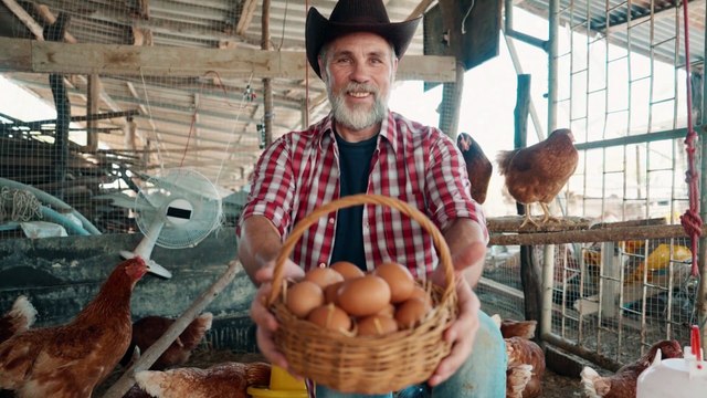 Think before you act | Poetic version of famous Moral Story The Golden Egg