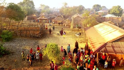 Talk less, see more | Poetic version of famous Moral Story " A Wise Old Owl "