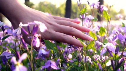 The Golden touch | Poetic version of famous Moral Story " The Golden touch "