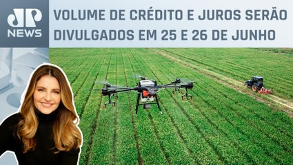 Kellen Severo: Plano Safra será lançado na semana que vem