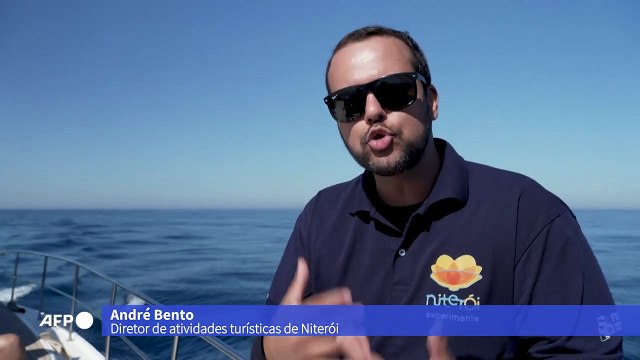 O balé das baleias-jubarte encanta e impulsiona o ecoturismo em Niterói