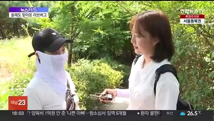 도심 산 점령한 '러브버그'…거리 곳곳도 벌써 습격
