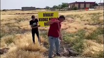 O büyükşehirde kuduz kontrolden çıktı! Çocuklar okula gidemiyor!