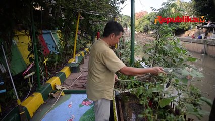 Misi Poktan Sehati RW 03 Cikini: Lingkungan Asri, Hijau, dan Bermanfaat