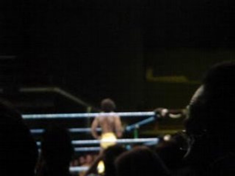 WWE SmackDown Wrestlemania Revenge Tour a geneve