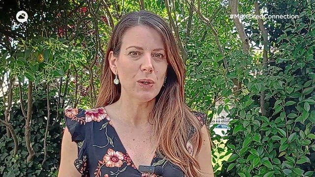 Primer fin de semana del verano con temperaturas al alza sobre todo en el sur del país